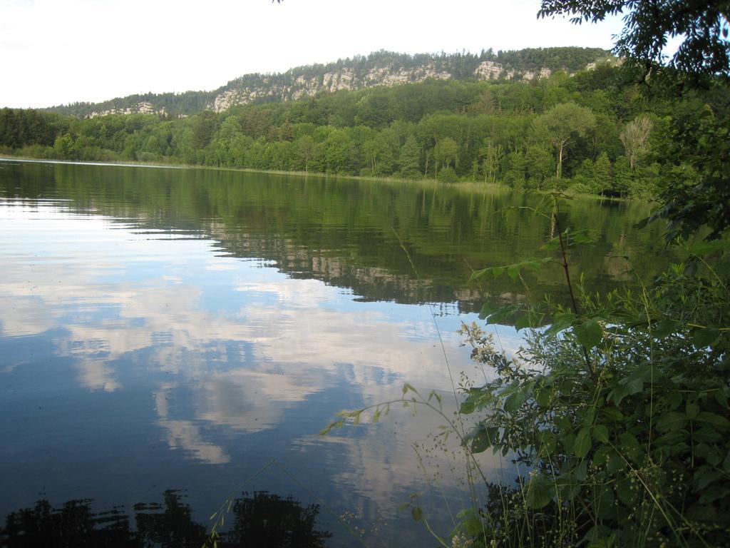 Auberge Du Herisson La Chaux-du-Dombief Luaran gambar